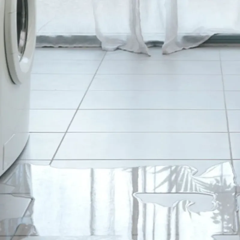 Appliance Leak Cleanup in Black Forest, CO